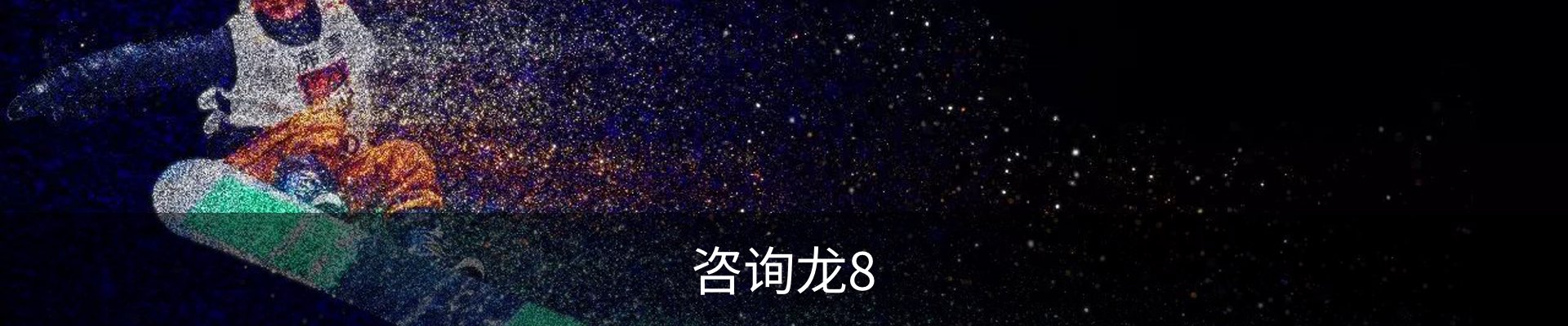 咨询龙8
